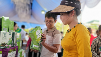 Nông dân Hải Dương mong kết nối tiêu thụ nông sản và các sản phẩm sau bão Yagi