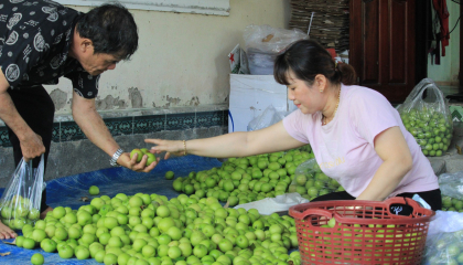 Khánh Hòa: 66 xã được công nhận đạt chuẩn nông thôn mới