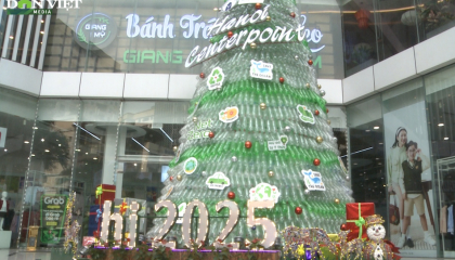 Ngắm cây thông Noel khổng lồ làm từ 3.000 chai nhựa cao 12m ở Hà Nội