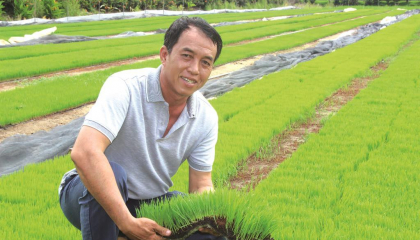 Hai tỷ phú ở An Giang là nông dân, người này trồng lúa Nhật, người kia trồng cây 'tỷ đô', thu tiền tỷ/năm