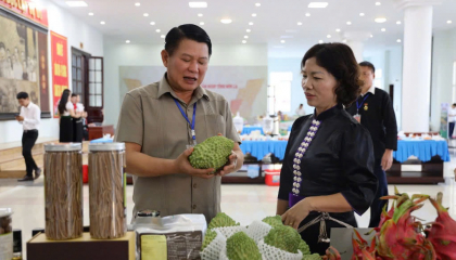 Đánh thức vùng cao Sơn La bằng sản phẩm OCOP