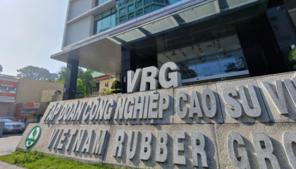 'Sức khỏe' 5 tập đoàn, tổng công ty ngành nông nghiệp trước khi về lại Bộ: Doanh thu VRG vượt 1 tỷ USD/năm