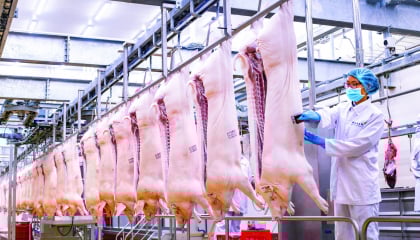 Masan MEATLife và hành trình định hình thị trường thịt mát