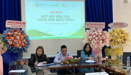 Người tiêu dùng Mỹ chuộng trái có múi chuẩn organic