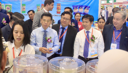 TP.HCM giúp doanh nghiệp thực phẩm rộng đường xuất khẩu, đưa hàng lên Amazon, Alibaba, TikTok…