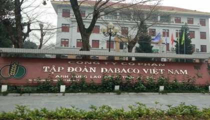 Giá lợn hơi giảm ngay trước thềm Dabaco chốt quyền phát hành 80 triệu cổ phiếu