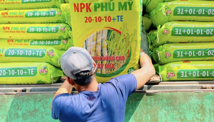 PVFCCo tăng trưởng ấn tượng trong tiêu thụ và mở rộng thị trường trong 6 tháng đầu năm 2024