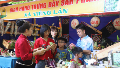 Yên Châu: Nâng cao hiệu quả mô hình kinh tế tập thể, HTX