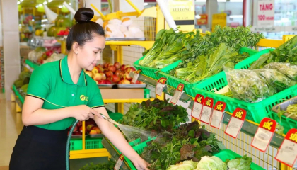 'Ông lớn' bán lẻ MWG cắt giảm nhân sự 