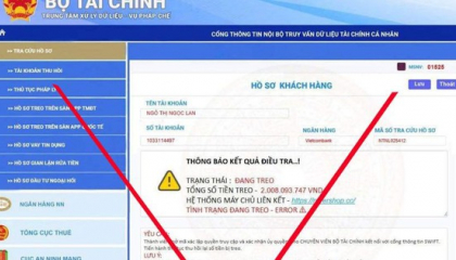 Bộ Tài chính cảnh báo website giả mạo