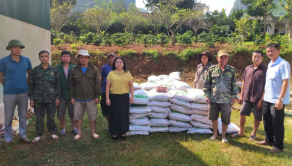 Hỗ trợ hội viên nông dân thâm canh cà phê theo hướng hữu cơ, mang lại giá trị lâu dài cho người sản xuất