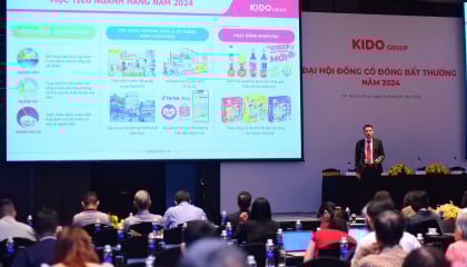 KIDO Group: Không đồng tình bán 24,03% vốn KIDO Foods, loạt cổ đông tổ chức nói gì? 