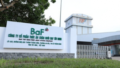 Hai 'ông lớn' ngành chăn nuôi báo lãi 'khủng' nhờ giá lợn tăng cao, Dabaco gấp 31 lần, BaF Việt Nam tăng 684%