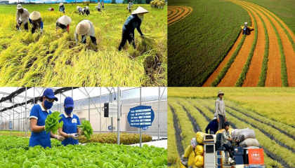 Dự án nông nghiệp được đề xuất miễn tiền thuê đất đến 15 năm