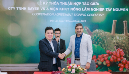Bayer đẩy mạnh giúp đỡ nông dân Tây Nguyên chuyển đổi canh tác bền vững