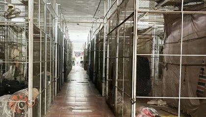 Gần 200 ki-ốt tại chợ TP Hà Tĩnh đóng cửa, treo biển cho thuê lâu dài
