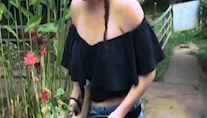 Nữ du khách bị khỉ kéo áo đến mức... phát xấu hổ