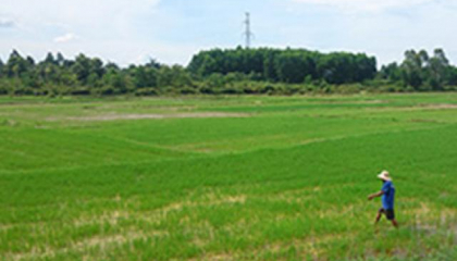 TT-Huế: Lo ô nhiễm, dân phản đối xây cơ sở giết mổ tập trung