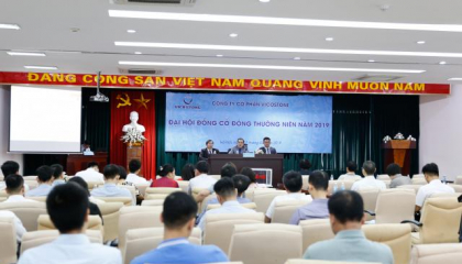 Tái cấu trúc, Vicostone của ông Hồ Xuân Năng sẽ không còn là DNNVV