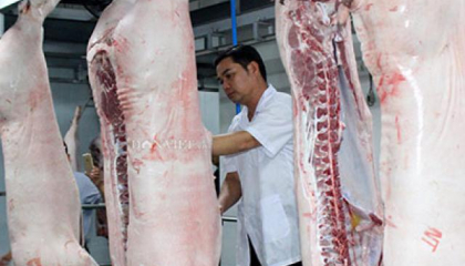Dẹp vấn nạn cơ sở giết mổ lậu, chặn dịch tả heo lây lan