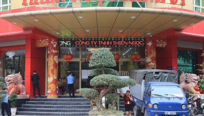 Dừng bán hàng đa cấp, Thiên Ngọc Minh Uy vẫn nộp thuế cao ngay sau Habeco