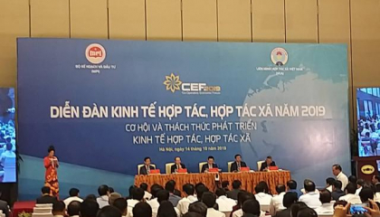 Vì sao nên có chính sách ưu đãi đối với HTX cao hơn so với DNNVV?