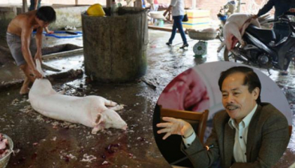 Cục trưởng Chăn nuôi: Giá lợn lên do cơ sở giết mổ nhỏ lẻ làm giá?
