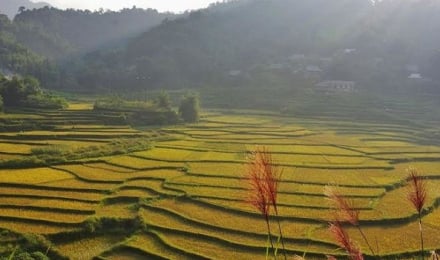 Pù Luông mùa lúa chín: Lạc vào tiên cảnh