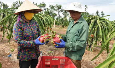 Clip: Đại gia xuất khẩu nông sản: Trung Quốc chưa bao giờ là thị trường dễ tính