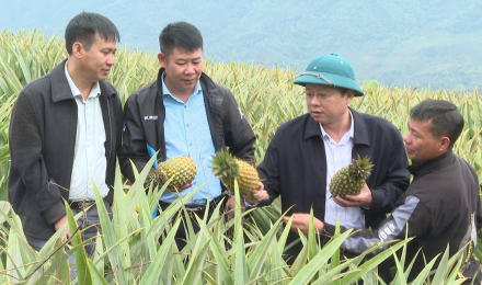 Nậm Nhùn chung sức xây dựng nông thôn mới