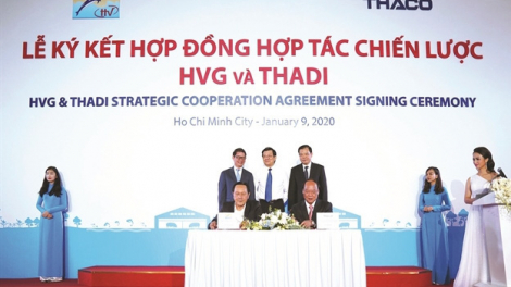 Thadi bắt tay Hùng Vương lập công ty sản xuất heo giống