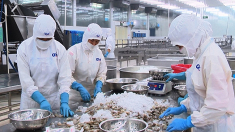 Tận dụng lợi ích FTA: Gần 1 triệu bộ C/O được cấp trong năm 2020