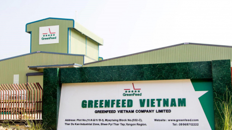 Greenfeed Việt Nam: DN thức ăn chăn nuôi mà IFC muốn rót 180 triệu USD có gì hấp dẫn?