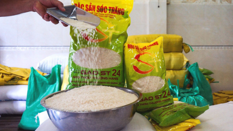 Xuất khẩu gạo ST24 tăng phi mã hơn 500%