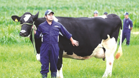 GTNFoods: Lợi nhuận quý II giảm 3%, đạt 47 tỷ đồng và kế hoạch sáp nhật vào Vilico