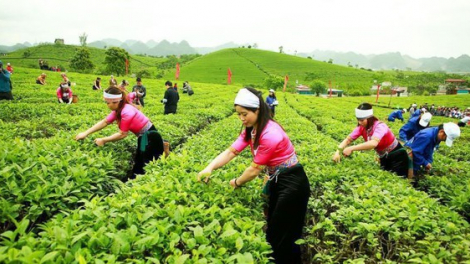 GTNFoods (GTN): Lợi nhuận giảm 22,1%, cả năm không hoàn thành mục tiêu