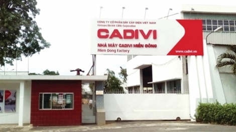 CADIVI (CAV): Chốt ngày tạm ứng cổ tức đợt 1 năm 2022 bằng tiền 20%