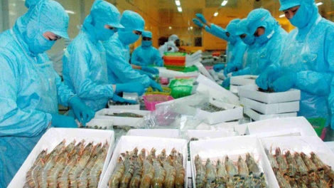 Thủy sản Bến Tre (ABT) báo lãi đột biến, tăng gấp 11 lần so với cùng kỳ