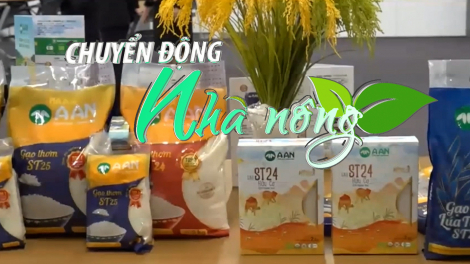 Chuyển động Nhà nông 5/10: Nhãn hiệu gạo ST24 và ST25 của kỹ sư Hồ Quang Cua được bảo vệ tại Australia
