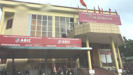 Bảo hiểm Ngân hàng Nông Nghiệp (ABIC): Chốt ngày 16/11 đăng ký cuối cùng trả cổ tức cổ phiếu 20%