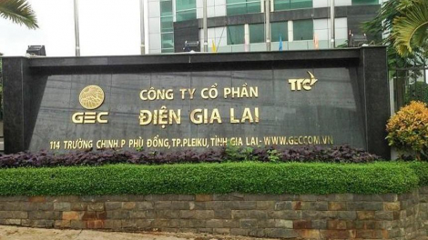 Điện Gia Lai (GEG) giải thể 1 công ty con, tạm dừng chào bán hơn 30 triệu cổ phiếu