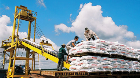 Lãi vượt kế hoạch nhưng vì đâu PSE đặt mục tiêu năm 2022 giảm tới 70%?