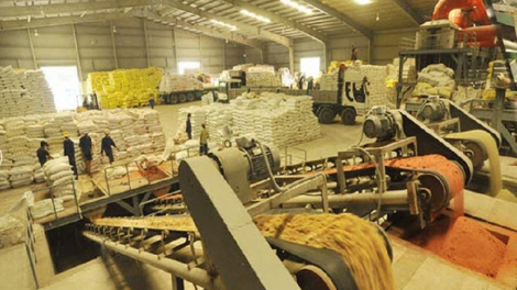 Cổ phiếu SFG tăng trần liên tiếp 3 phiên, Phân bón miền Nam làm ăn ra sao?