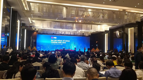 CEO MB Bank Lưu Trung Thái: 'Nhận chuyển giao bắt buộc TCTD là việc khó, dễ đã không đến lượt MB'
