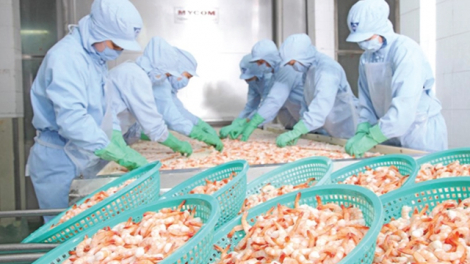 Camimex Group (CMX) chốt quyền thưởng cổ phiếu tỷ lệ 10%