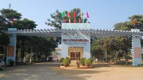Mía đường Sơn La (SLS) sắp chia cổ tức bằng tiền, tỷ lệ 'siêu khủng' 100%