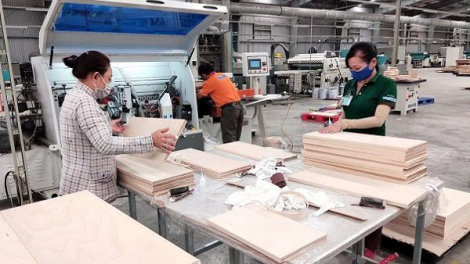 Công bố thông tin sai lệch, Gỗ Trường Thành (TTF) bị phạt 150 triệu đồng