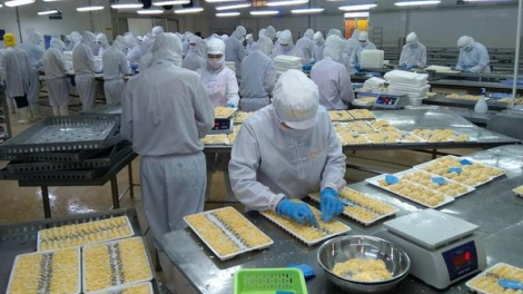 Camimex Group (CMX) bị phạt hơn 300 triệu đồng