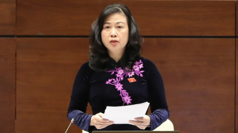 Bộ trưởng Đào Hồng Lan: Chưa thanh toán hết chi phí chống Covid -19 do “vừa làm vừa rút kinh nghiệm”
