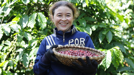 Nestlé Việt Nam góp phần nâng cao vai trò của phụ nữ trong toàn chuỗi cung ứng